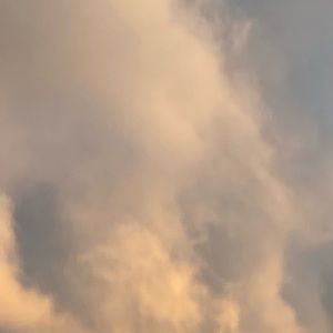 Meet your Posher, Manny